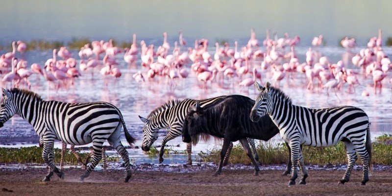 LakeNakuruNationalPark